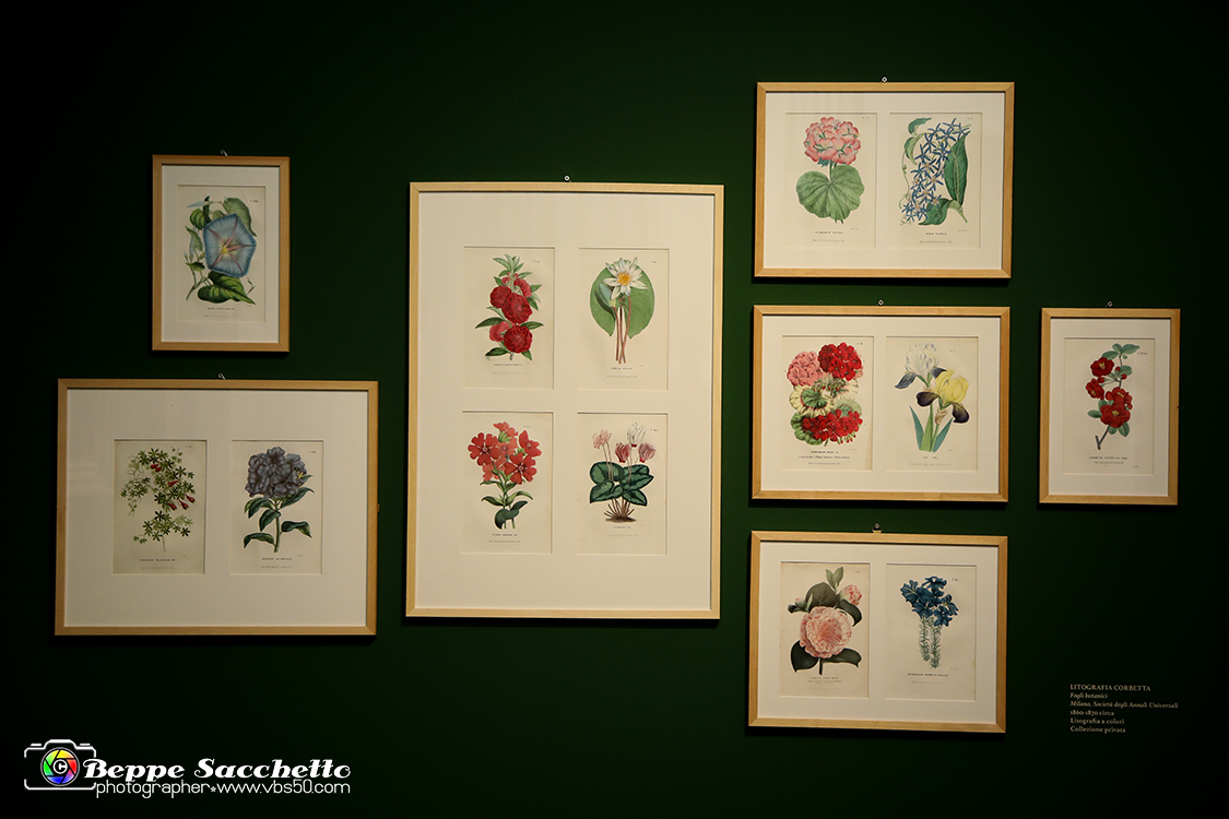 VBS_1338 - Castello di Miradolo - Mostra Oltre il giardino l'Abbecedario di paolo Pejrone.jpg